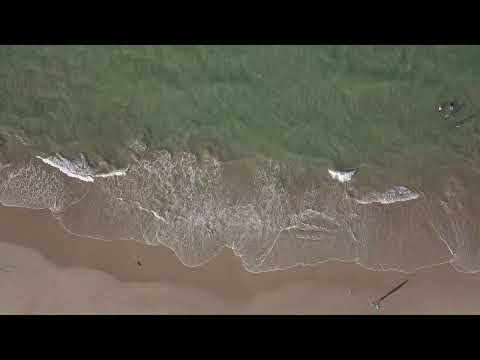 Relaxing Sea Beach Reels | Digha Sea Beach Waves, ASMR & Ambience. sea beach art. sea beach vibes.