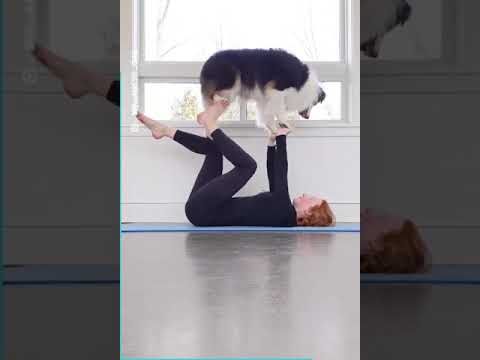 Yoga by a DOG!