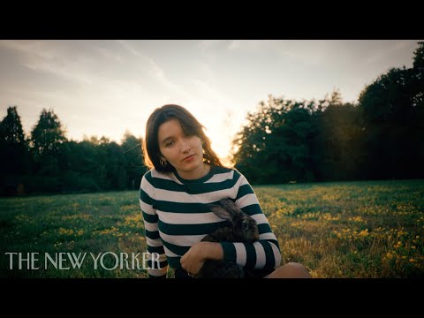 Прев'ю відео