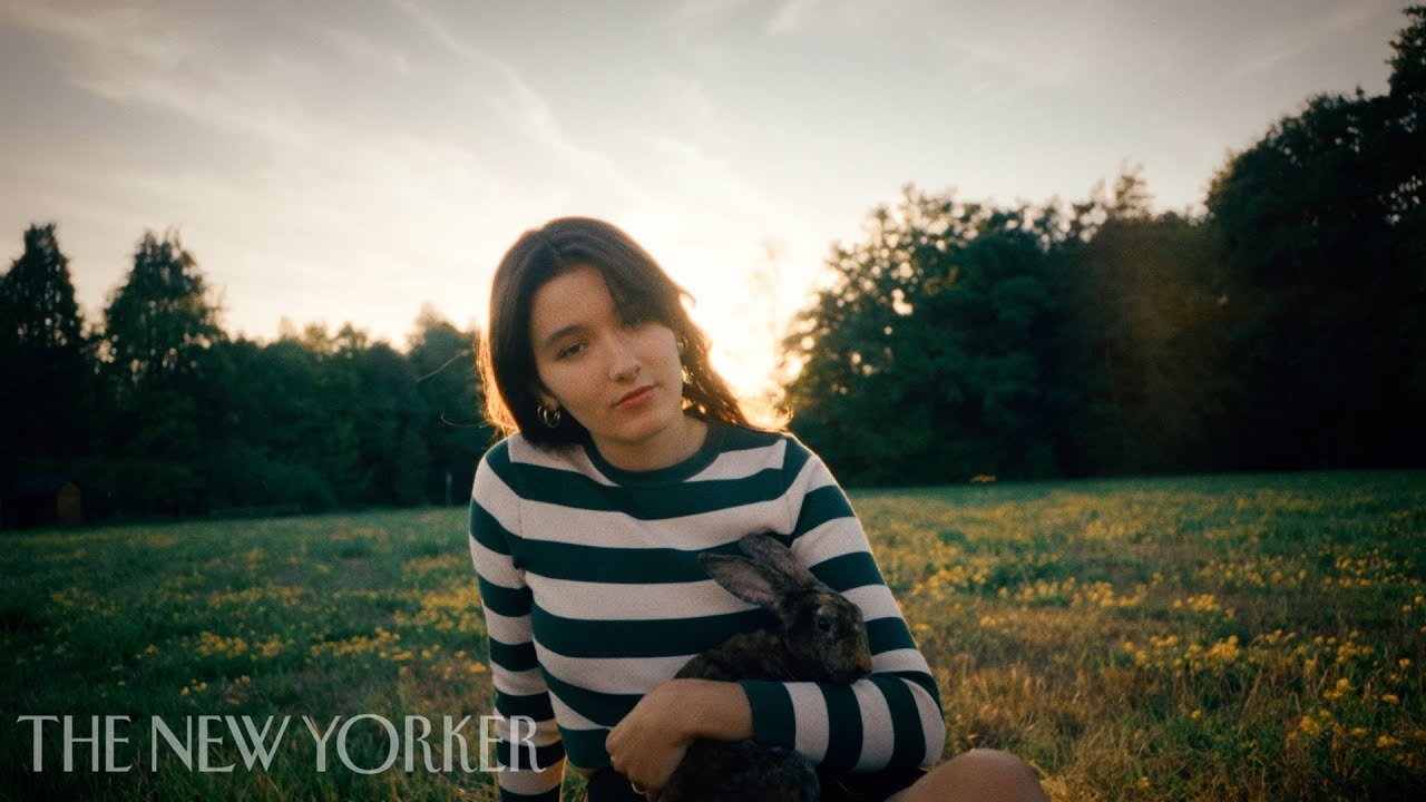 Прев'ю відео