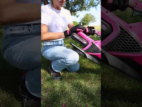 Echo DPB-2500C1-LE in Gaylord, Michigan - Video 1