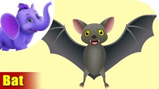 Bat Rhymes, Bat Animal Rhymes Videos for Children