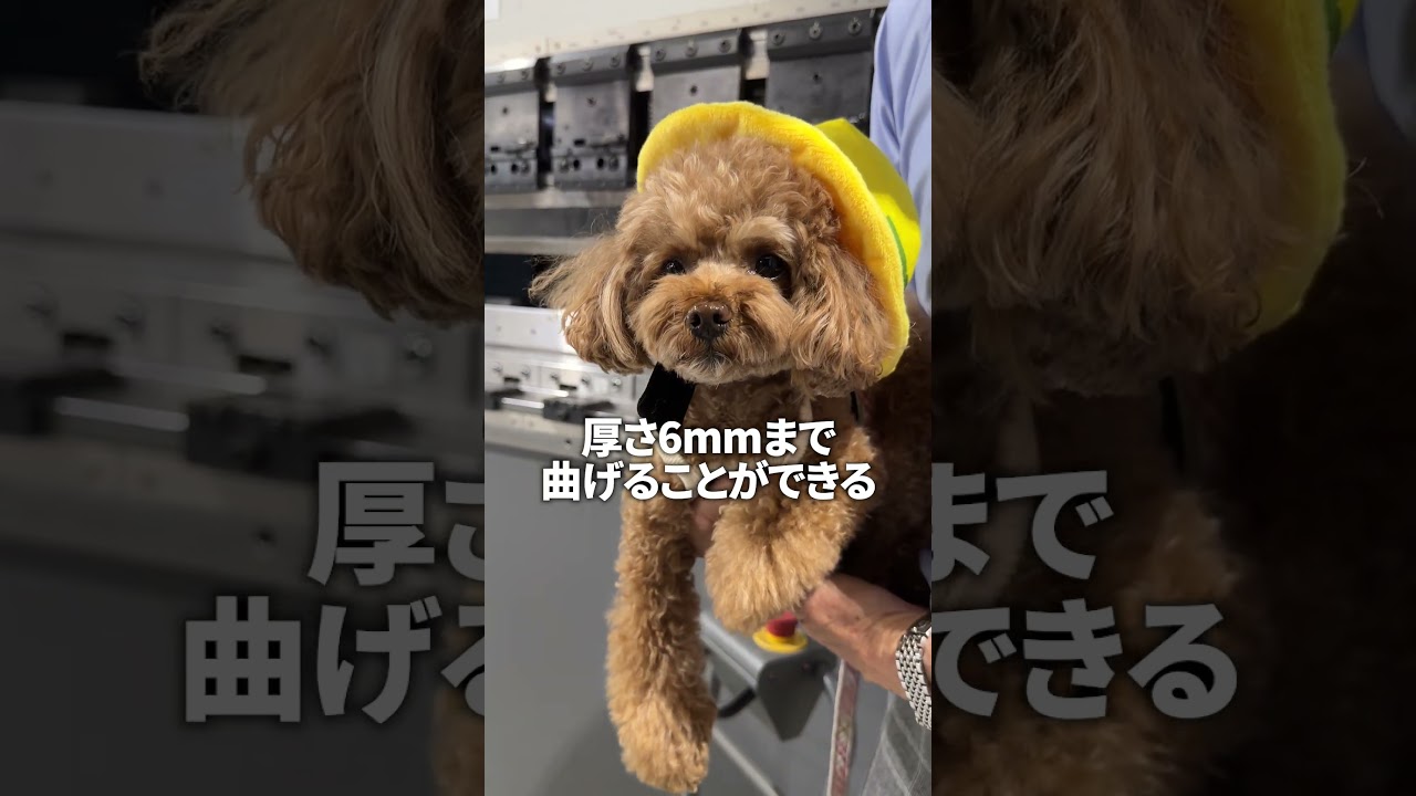 設備紹介 ― 高い技術と充実した製造環境