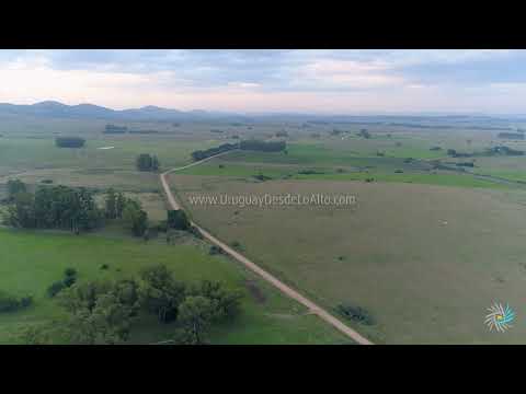 Video aéreo sobre un campo uruguayo 40082 83
