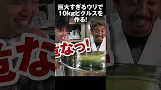 10kg超えの世界一の大きさのピクルスを作る