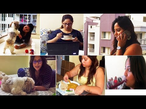 An Overly Occupied Day | Multitasking Indian Petmom | How Do I Manage My Day