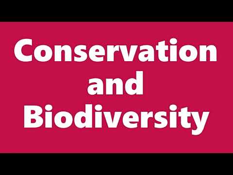 Bio Ch 47: Conservation and Biodiversity