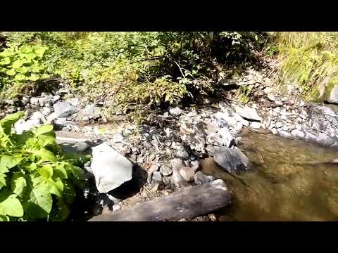 Valea Valsanului-Bradet