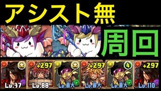 ソニアたまドラ降臨 アシスト無し高速周回編成【パズドラ】