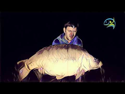 Maconka Top 5 2017.07. hó Képek