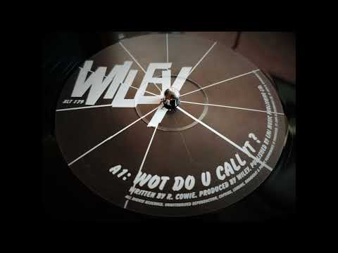 Wiley - Wot Do U Call It ? (2003)