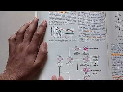 guyton chapter 33 part 1 of 2