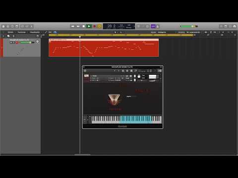 MSAMPLES WARM FLUTE DEMO