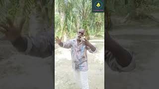 Download lagu Cinta 3 Segi | TikTok mp3