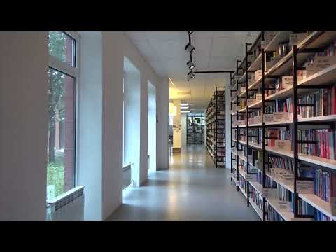 Library   846 No Copyright Video, Background, Motion Graphics, Animated Background