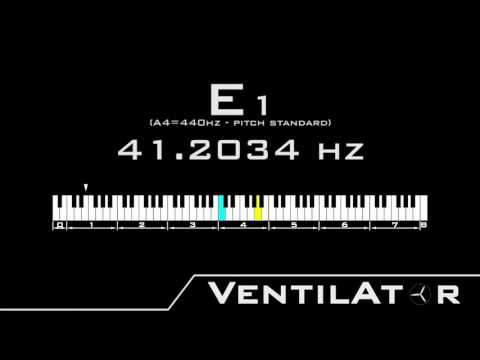 E1 / 41.2034hz @A440hz Tone For Instrument Tuning