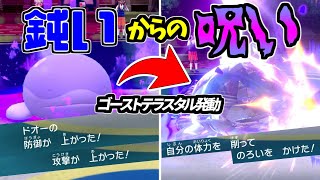 【天才型】テラスタルで2種の「のろい」を使うドオーがあまりにも強すぎる！キョジオーン対策にも◎【ポケモンSV】
