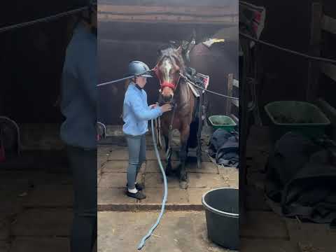 Full tacking/stable video