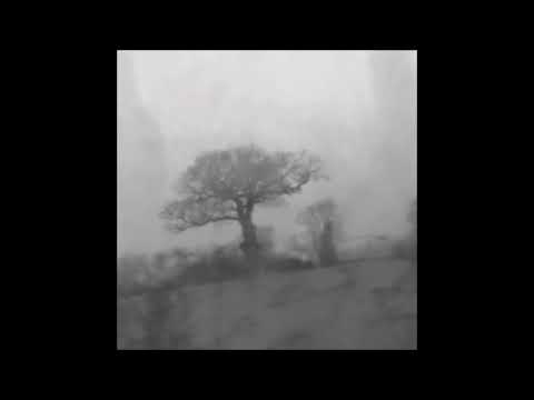 24. surrenderdaniel - truly [17.02.2017]