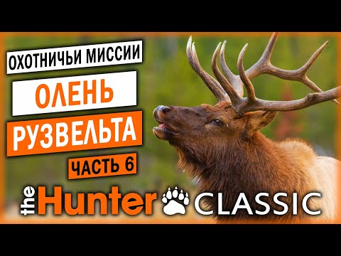 ОХОТА НА ОЛЕНЯ РУЗВЕЛЬТА! | Охотничьи Миссии | theHunter Classic 🐻 | (часть 6)
