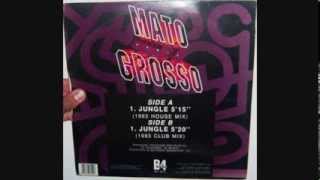Mato Grosso - Jungle (1993 Club mix)