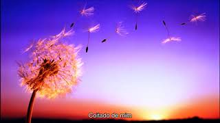 Sister Hazel - Beautiful High (Legendado)