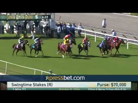 Swingtime Stakes (R) - Saturday, October 8 2016