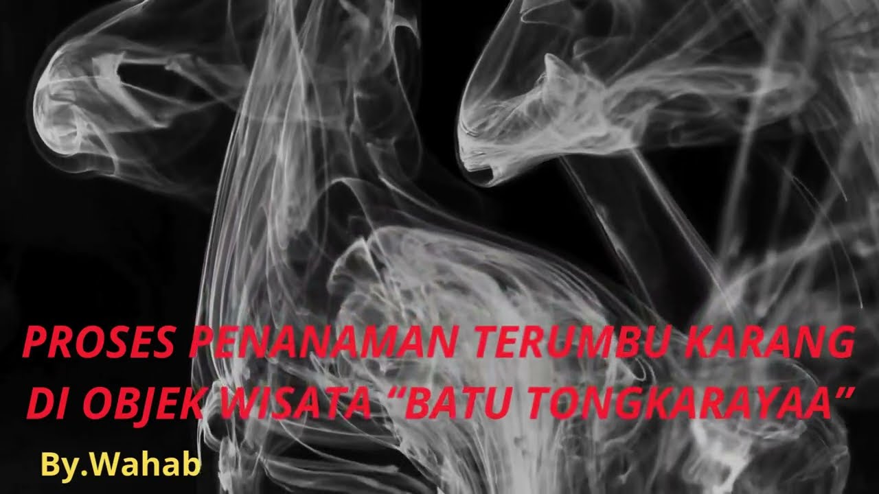 Proses Penanaman Terumbu Karang di Batu Tongkarayya