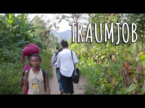 Traumjob: Weltweit forschen