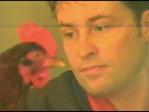 Ardal O'Hanlon Live | 1997 Stand Up