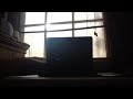 Willow S DVD Menu Rotation And Video Test
