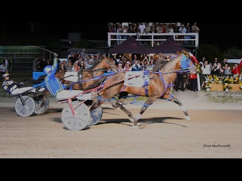 2025 Gold Cup And Saucer 66 Final Charlottetown Driving Park August 16, 2025 : Miki Shan N (1:51:2)