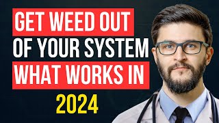 How to Get Weed Out of Your System Fast. The Ultimate Guide to Marijuana Detox 2024