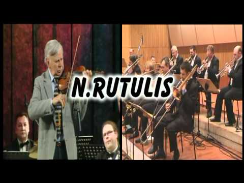 Alņa Zaķa 80 gadu jubilejas koncerts