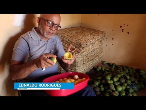 Vida no Campo 17 11 2022