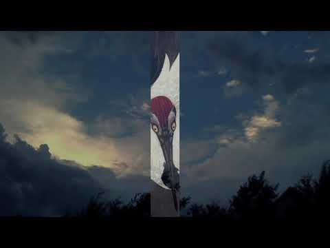 Music of Kazu Matsui (Shakuhachi). “Black Bird & the Bamboo forest,” and “Legend of the lake”.