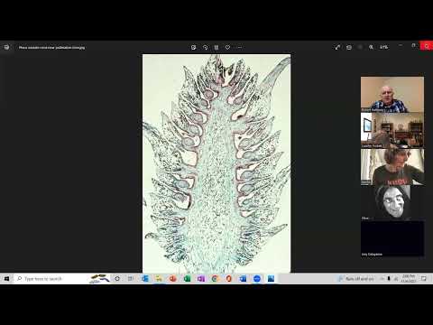 2022-11-06 - Optional Plant Morph & Anatomy Session (25 min.)