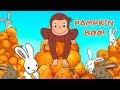 Curious George Pumpkin Boo Gameplay For Kids