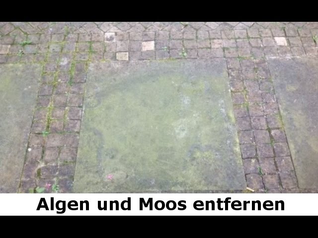 Algen, Schimmel, Pilze, Flechten und Moose entfernen auf Terrassen – Algenentferner und Moosentferner – biologisch abbaubar
