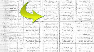 صورة شرح  "المقصود في عِلْمِ التَّصْريفِ "(48) /تصريف (تباعد)