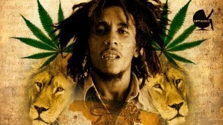 Bob Marley vs. Funkstar De Luxe - Rainbow Country (Radio) Official Video