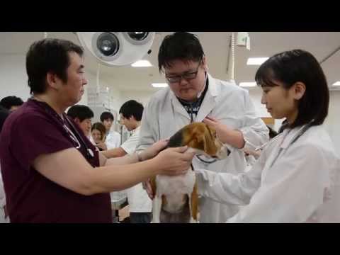 生命医科学科 九州保健福祉大学 薬学部 動物生命薬科学科