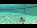 Underwater Swim Face Hits Wall