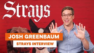 Josh Greenbaum on directing dogs in 'Strays', and why you probably won't see a sequel starring cats