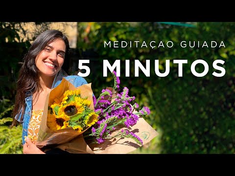 Meditação Guiada - 5 MINUTOS