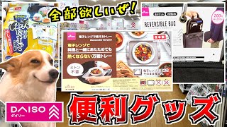 ダイソーの便利グッズが更に進化している！【猫ミーム】