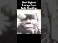 Todd Standing's real Bigfoot footage #bigfoot #bigfootvideo #sasquatch #toddstanding