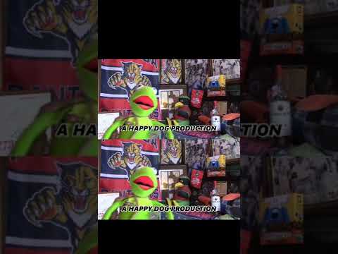 The Florida Panthers Season So Far