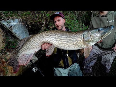 Shore Fishing for Big Pike