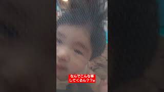 【赤ちゃん】わざと大人を笑わそうとしてくる赤ちゃん【ゆいとぼーい】#shorts #赤ちゃんのいる生活 #かわいい #可愛い #赤ちゃん